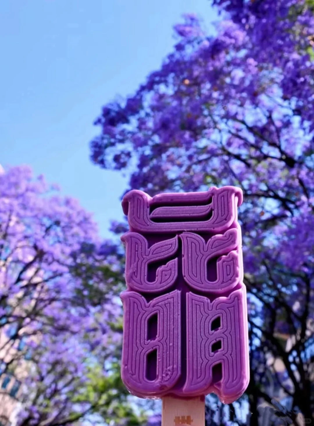 Kunming Jacaranda