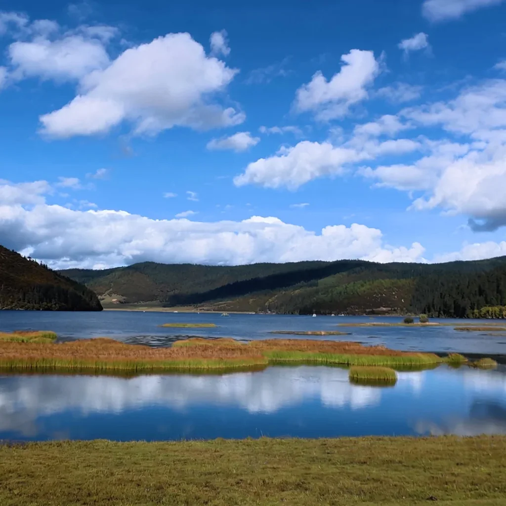 位于 属都湖 的高原湖泊景观，湖水清澈平静，周围草甸与森林环绕，远山起伏，蓝天白云倒映水中，风光宁静优美。