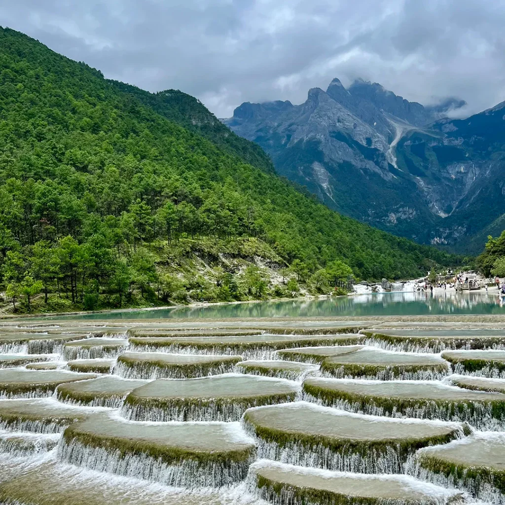 雲南麗江玉龍雪山下的藍月谷（白水河）絕美景致，層層疊疊的碧綠瀑布沿著石灰岩台階傾瀉，背景是雪山與翠綠森林。
