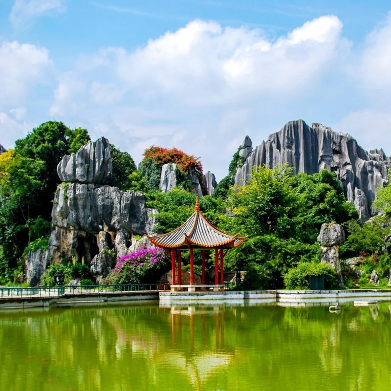 昆明石林景區內的奇特石灰岩地貌聳立於綠樹之間，湖面前方有一座中式涼亭倒映在水中。鋸齒狀石峰與翠綠植被相互交織，在藍天白雲映襯下展現昆明石林獨特壯觀的喀斯特地貌與自然景觀。