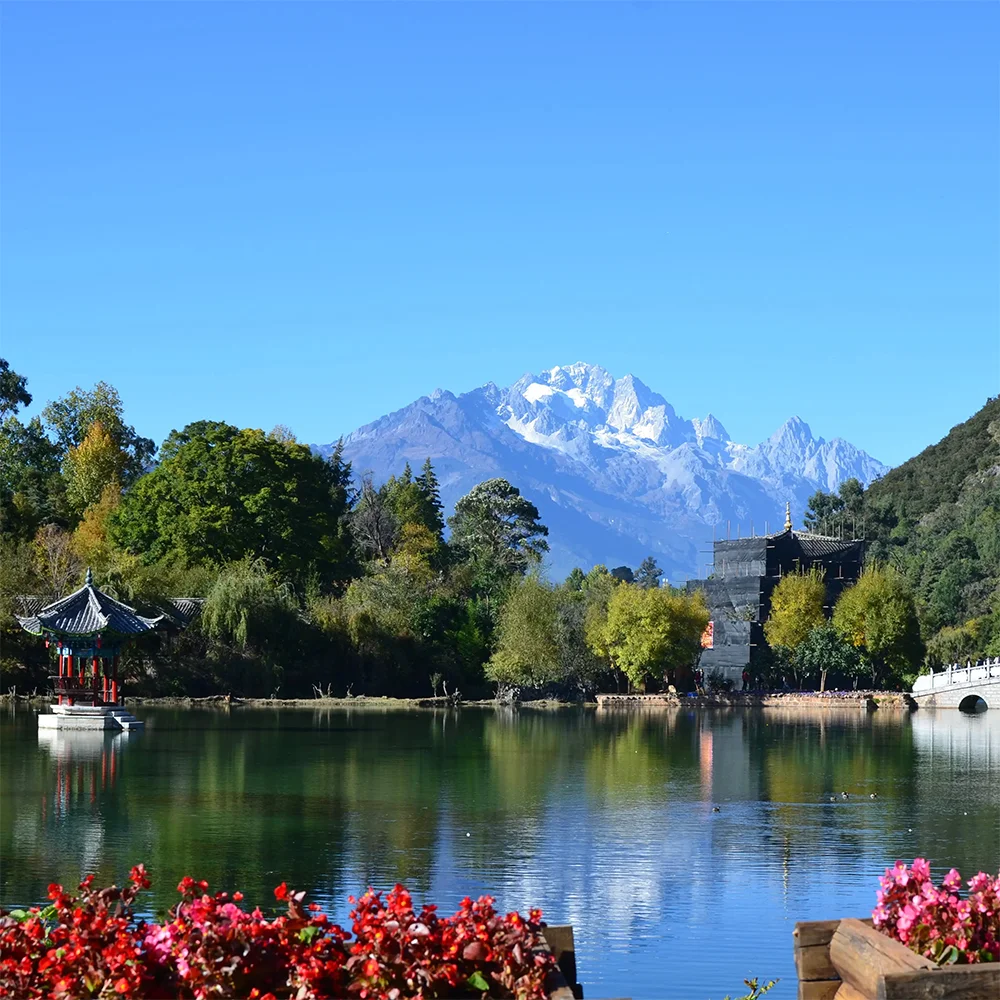 雲南麗江的 黑龍潭 湖景與遠方的 玉龍雪山 同框入鏡。清澈湖水倒映著雪山、藍天與周圍的綠樹景觀，湖畔可見傳統中式亭子與古建築，景色寧靜而壯麗。前景鮮豔花卉點綴湖岸，使整個畫面呈現出層次豐富且富有詩意的自然與人文景觀。