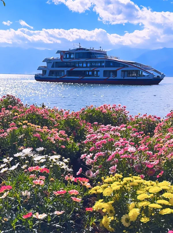 在 大理花語牧場，繽紛花海沿湖綻放，遠處洱海上遊船緩行，背後群山與藍天相映成景