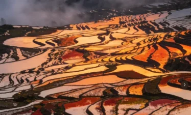 雲南愛村梯田日出景觀，層層梯田沿山坡延展，水面在晨光映照下呈現金橙與紅色光影，曲線般的田埂交織成壯麗圖案，遠方雲霧與村落若隱若現，展現愛村梯田獨特而迷人的自然景色