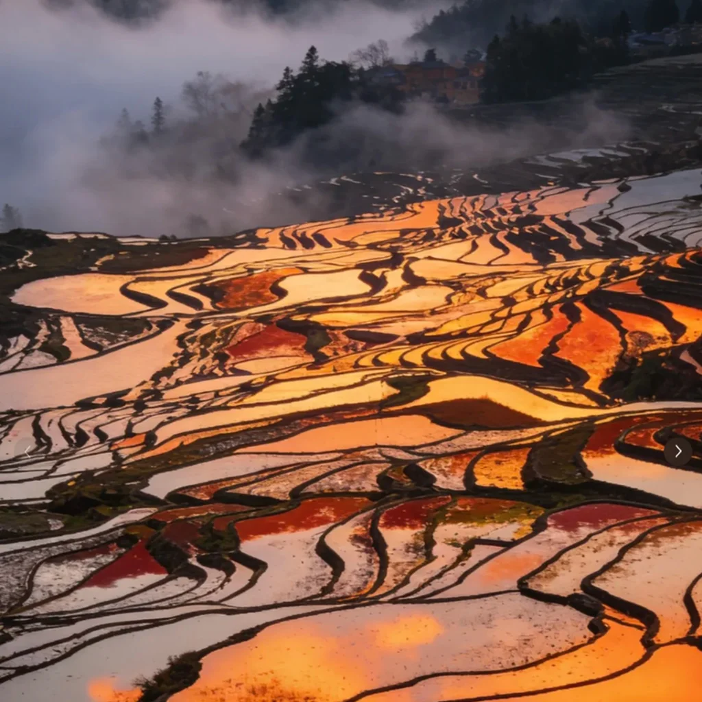 雲南愛村梯田日出景觀，層層梯田沿山坡延展，水面在晨光映照下呈現金橙與紅色光影，曲線般的田埂交織成壯麗圖案，遠方雲霧與村落若隱若現，展現愛村梯田獨特而迷人的自然景色