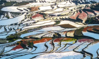雲南愛村梯田清晨景觀，層層梯田沿山坡蜿蜒延展，水面在陽光照射下閃耀銀色與金色光芒，田埂曲線交織成壯麗圖案，遠方雲霧與山林環繞，呈現愛村梯田壯觀而細緻的自然農耕景色。