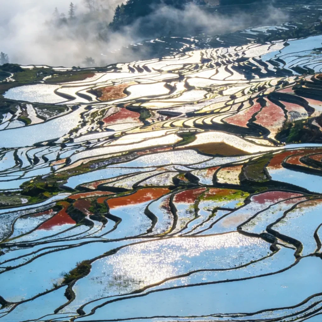 雲南愛村梯田清晨景觀，層層梯田沿山坡蜿蜒延展，水面在陽光照射下閃耀銀色與金色光芒，田埂曲線交織成壯麗圖案，遠方雲霧與山林環繞，呈現愛村梯田壯觀而細緻的自然農耕景色。
