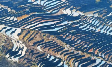 雲南壩達景區梯田景觀，層層曲線般的梯田沿著山坡延展，水面映照天空與山影，形成壯麗的自然圖案。梯田高低起伏、線條優美，展現壩達景區獨特的農耕文化與壯觀高原梯田風光。