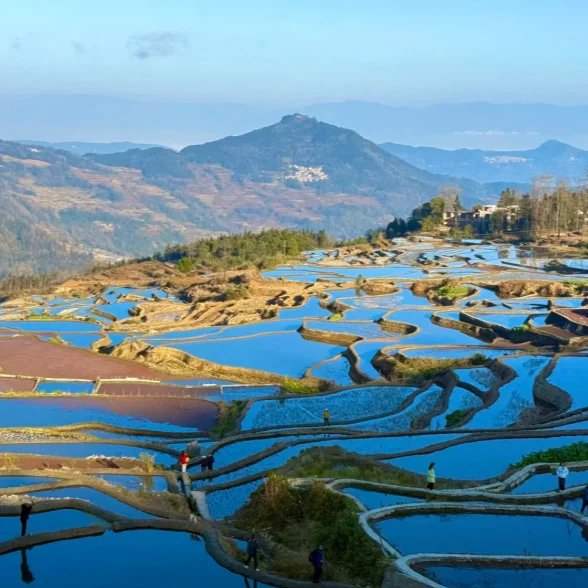 雲南著名農耕景觀 壩達梯田 的層層梯田景色。山坡上密集分布的梯田在水面映照下呈現藍色與金色交錯的圖案，遠處群山連綿，田埂蜿蜒曲折，形成壯觀而富有層次的高原農業景觀。
