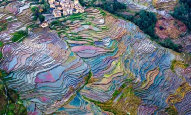 雲南多依樹梯田空拍景觀，層層梯田沿山坡延展，水面映照天空形成繽紛色彩，梯田曲線環繞村落與山林，呈現壯麗而細緻的地形紋理，展現多依樹梯田獨特的農耕文化與自然景觀