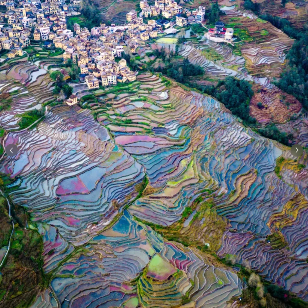雲南多依樹梯田空拍景觀，層層梯田沿山坡延展，水面映照天空形成繽紛色彩，梯田曲線環繞村落與山林，呈現壯麗而細緻的地形紋理，展現多依樹梯田獨特的農耕文化與自然景觀