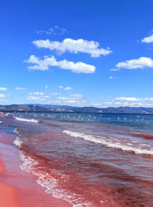 雲南撫仙湖紅色沙灘湖岸風景，遊客沿著湖邊散步欣賞湖景，平靜的湖水與遠方山脈相互映襯，天空雲層延展開闊，湖邊可見水鳥活動，展現撫仙湖自然寧靜且悠閒的高原湖泊風光