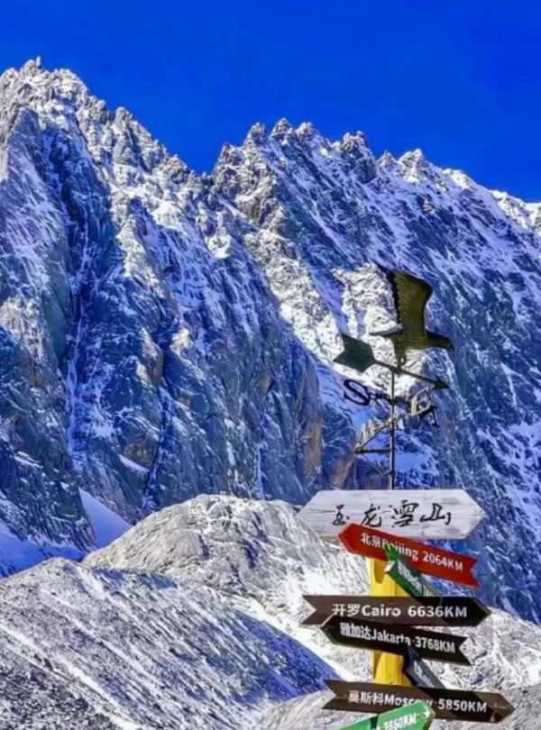 雲南麗江著名的 玉龍雪山 壯麗雪峰景觀。高聳陡峭的雪山覆蓋著白雪，在湛藍天空下顯得格外壯觀。前景是一個寫著「玉龍雪山」的方向指示牌與風向標，指向世界多個城市距離，為畫面增添旅遊地標特色，展現出這座著名雪山的雄偉與魅力。