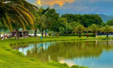 位於 弥勒湖泉生态园 的湖畔公園景色。草地與湖水相連，棕櫚樹與綠樹環繞湖岸，天空晚霞與雲層倒映在湖面上，遊客在樹蔭下休憩散步，呈現寧靜自然的生態公園景觀。
