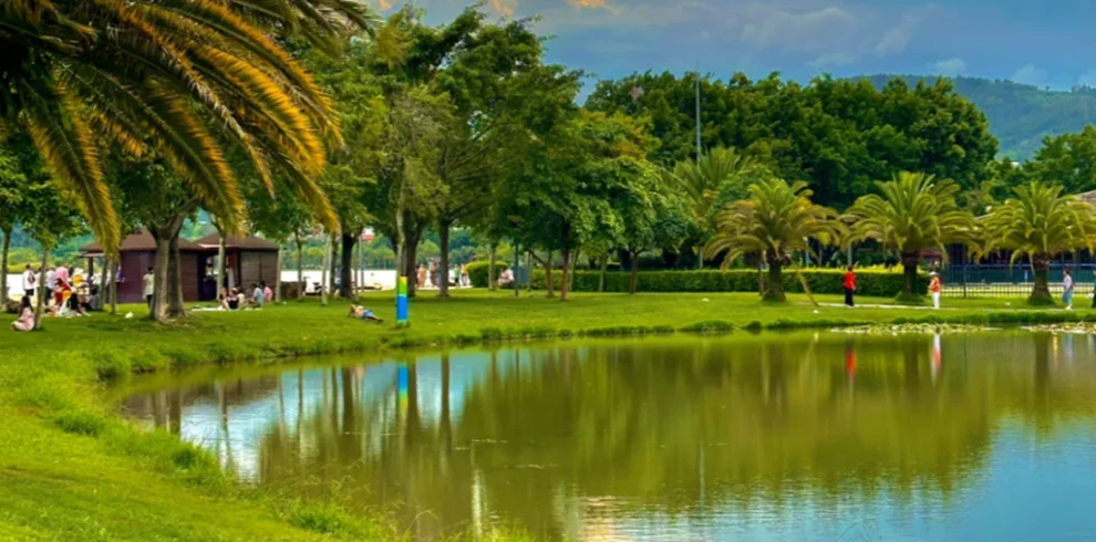 位於 弥勒湖泉生态园 的湖畔公園景色。草地與湖水相連，棕櫚樹與綠樹環繞湖岸，天空晚霞與雲層倒映在湖面上，遊客在樹蔭下休憩散步，呈現寧靜自然的生態公園景觀。