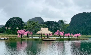 電視劇取景地湖畔景觀 三生三世十里桃花 拍攝場景之一。湖面中央的小島上建有茅草亭與木棧平台，周圍粉色桃花樹盛開，湖水倒映花樹與亭子，背景是喀斯特山峰與雲層。