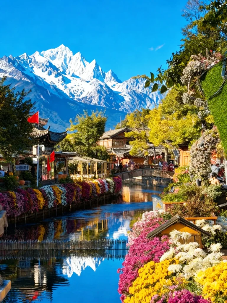 麗江古城秋季花海與玉龍雪山景觀。