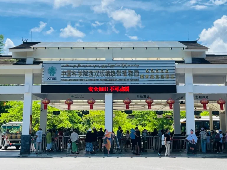 中科院西雙版納熱帶植物園，5A 級國家級景區，中國規模最大、物種最豐富的熱帶植物園，是西雙版納雨林探險必訪的植物王國。