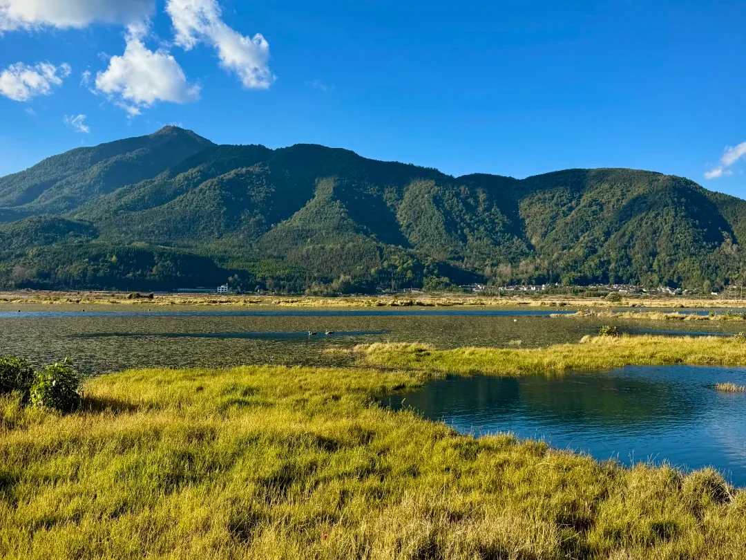 騰衝北海濕地公園的湖山全景，澄澈湖水、金黃草甸與蒼翠遠山相映，是火山堰塞湖孕育的高原濕地秘境。