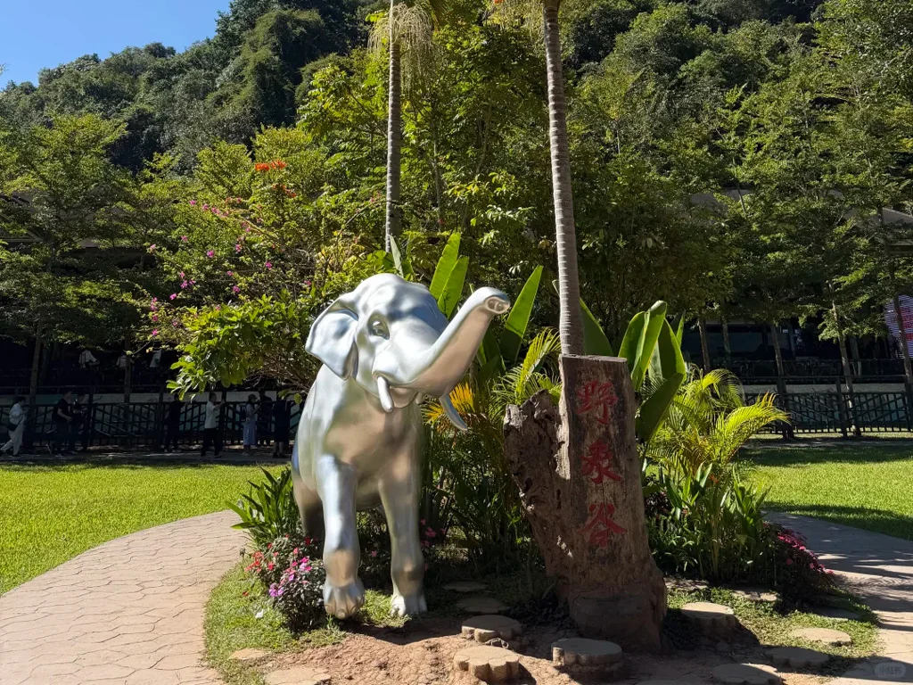 Wild Elephant Valley Scenic Area 2