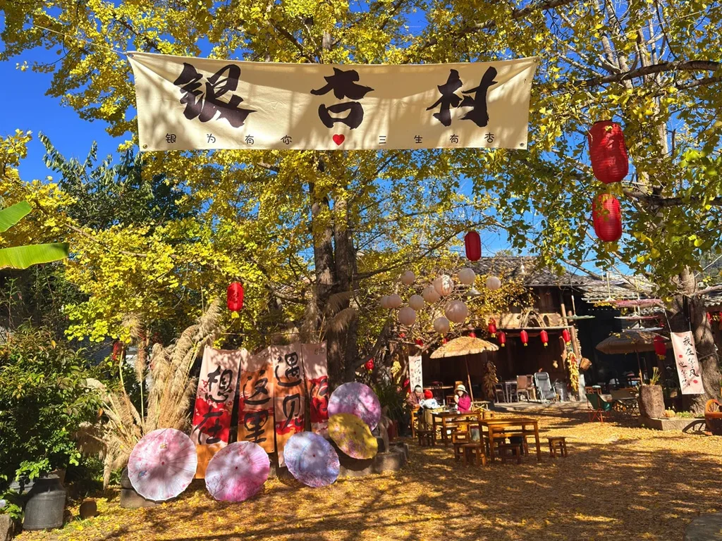 騰衝銀杏村入口橫幅掛在金黃銀杏樹下，搭配紅燈籠與戶外座位，地面鋪滿秋葉，呈現溫馨秋日氛圍。