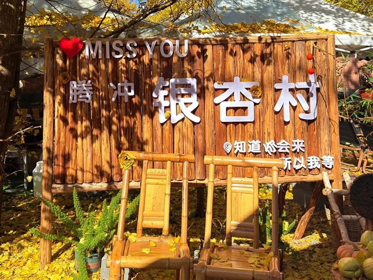 寫有騰衝銀杏村的木製招牌被金黃銀杏葉環繞，搭配木椅與秋日陽光，呈現溫暖樸實的景象。