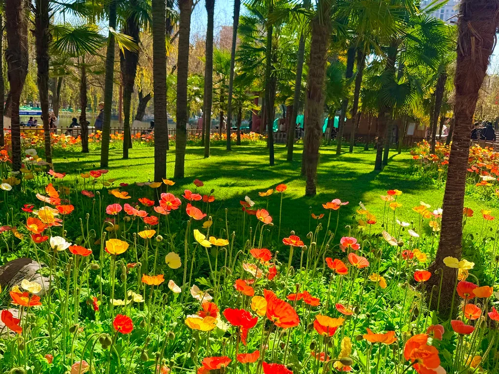 Cuihu Park Cuihu Park