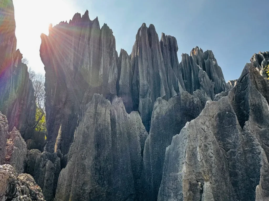 stone forest 1