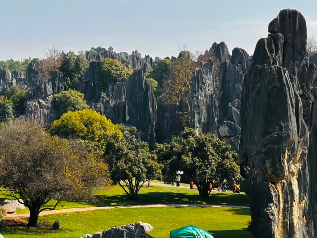 stone forest 2