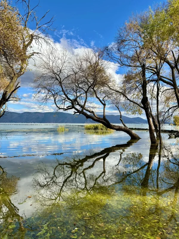 Autumn Scenery in Dali 3 大理秋季景色,樹木倒映在洱海水面,水質清澈,環境寧靜。
