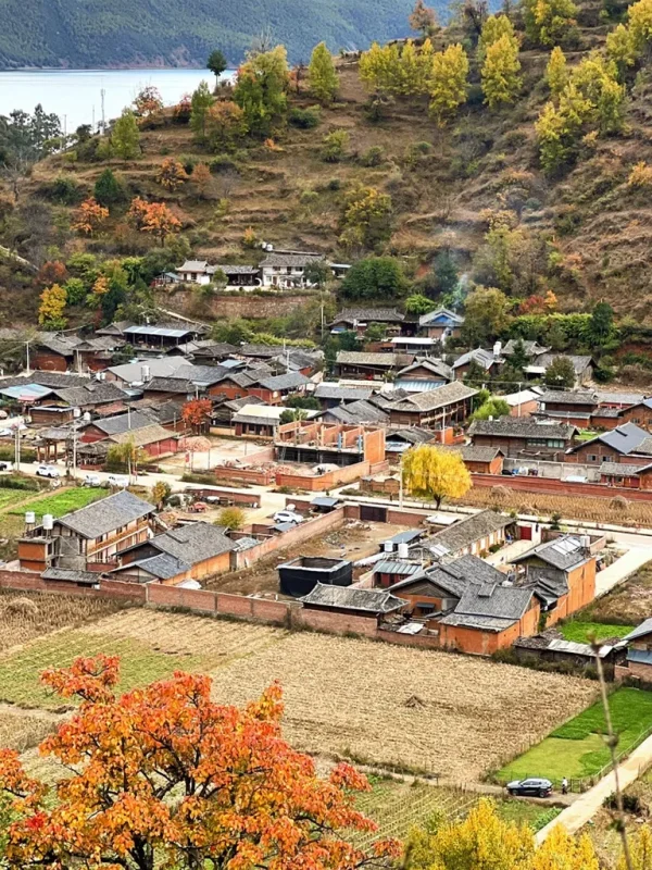 俯瞰瀘沽湖畔的摩梭族村落，傳統木楞房建築錯落有致，周圍環繞著秋季金黃色的樹木與農田，背景為靜謐的湖水。