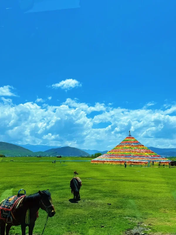 Shangri La Napahai 2 香格里拉納帕海草原的夏日限定景觀,翠綠草原、駿馬與巨型經幡陣相映,是藏區最療癒的自然畫面。