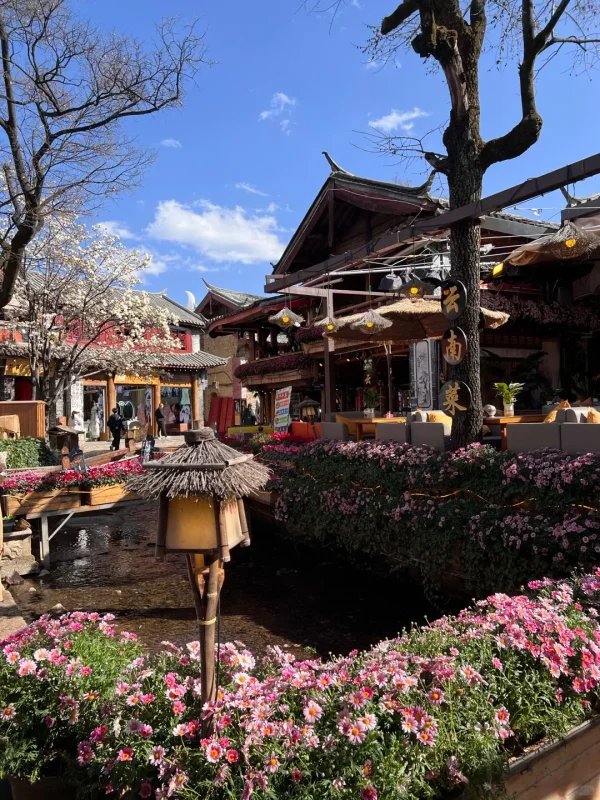 束河古鎮的溪邊餐廳街景，花團錦簇、溪水潺潺，藍天白雲下，是麗江最療癒的慢生活畫面。