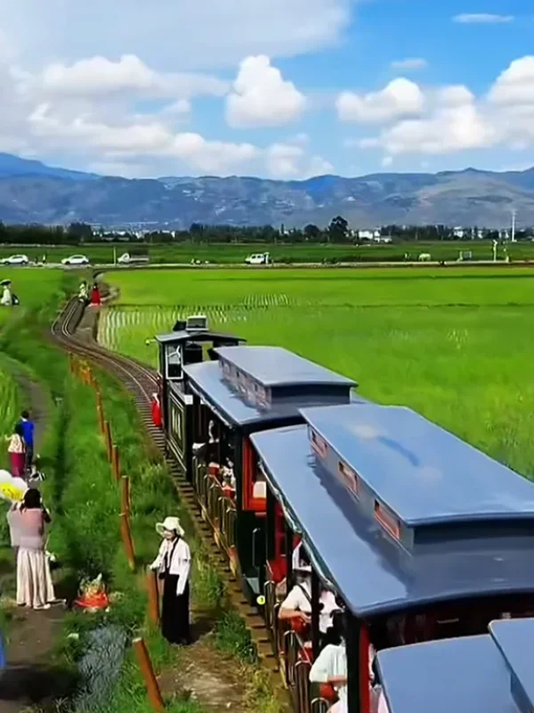 Xizhou Ancient Town Dali rld80q854ujg7c2s7n65fgr04k6p57j7ztf7962ce8 大理喜洲古鎮田園小火車穿行於稻田間,遠山與鄉村景色交織。