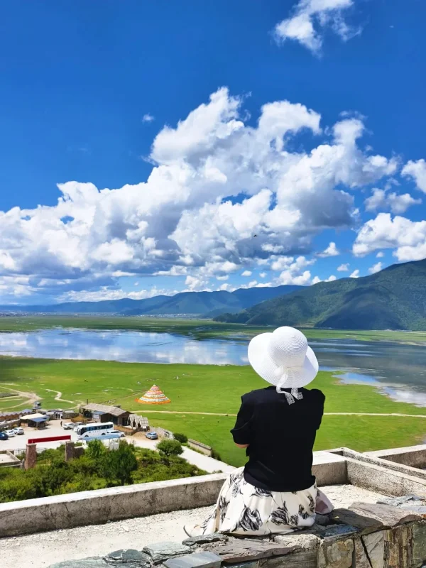 napahai viewpoint shangri la summer lake grassland rma0nqpek1yluq2ugsz92z7dp08rg3jtm78sayf8zk 香格里拉納帕海高原湖泊俯瞰與草原夏季風景