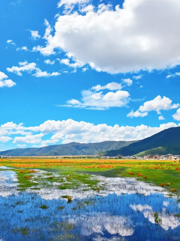 napahai wetland reflection shangri la spring landscape rm9ks7w53hl8m68wr9eiip6qtv7e9dn8pfdil7tq9s 香格里拉納帕海濕地湖泊與天空倒影景色