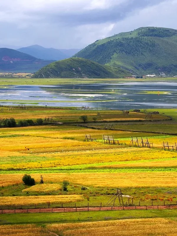 shangri la autumn farmland lake highland landscape 香格里拉秋季農田與湖泊高原風景