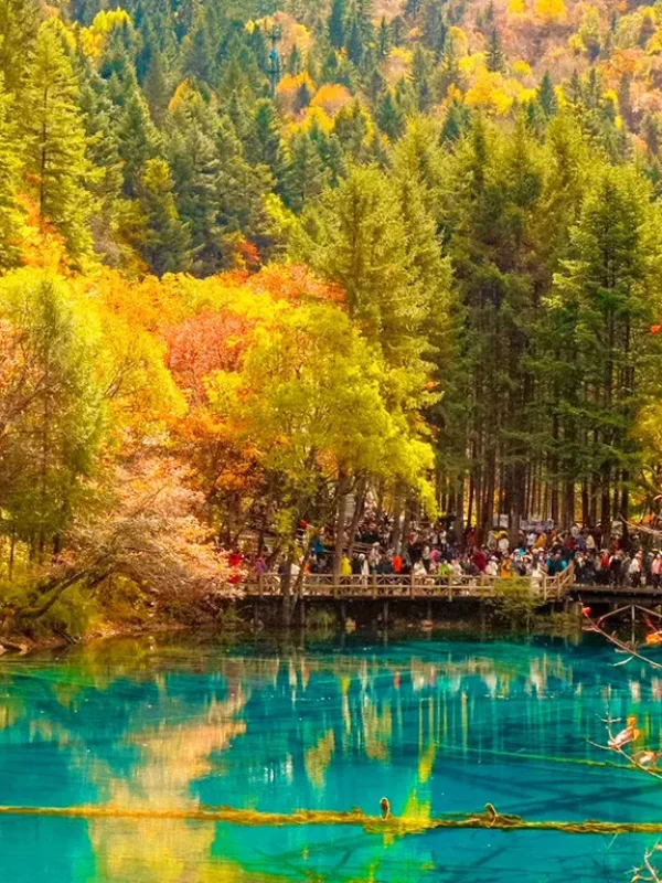 shangri la blue lake autumn forest reflection scenery 香格里拉藍色湖泊與秋季彩林倒影風景