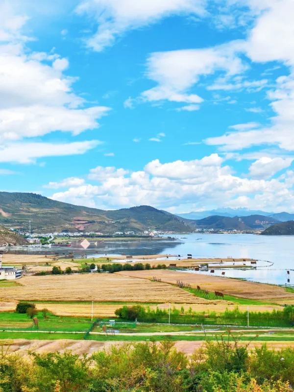 shangri la highland lake grassland yunnan spring view 香格里拉高原湖泊與農田草原交錯的春季景色