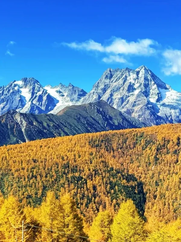 shangri la snow mountain autumn forest view yunnan 香格里拉秋季雪山與森林遠景景觀