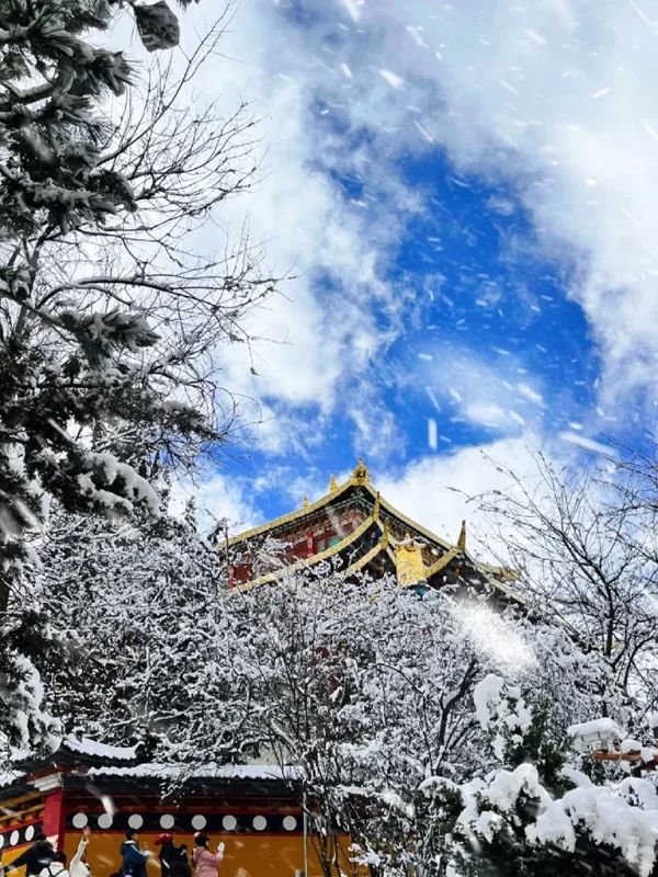 shangri la temple winter snow landscape 香格里拉獨克宗大佛寺,雪落千年藏式古寺,鎏金飛檐掩映銀白雪林,高原湛藍晴空飄灑飛雪,絕美藏地冬日佛國雪域仙境。