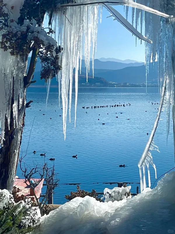shangri la winter frozen lake icicle landscape 香格里拉冬季湖泊結冰與冰柱景觀